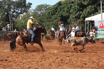 DONDOCA STEEL